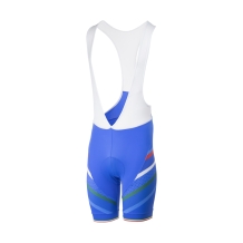 Team 2.0 Bibshort Heren Blauw