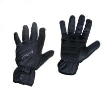 images/productimages/small/006-041-006.041-01-alberta2.0-winterglove-black.png