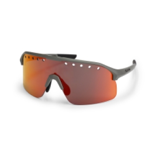 Ventro Polarized Bril Grijs/Bordeaux